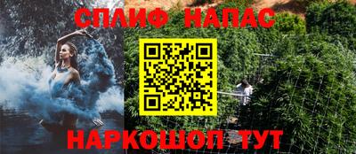 стафф Краснодар