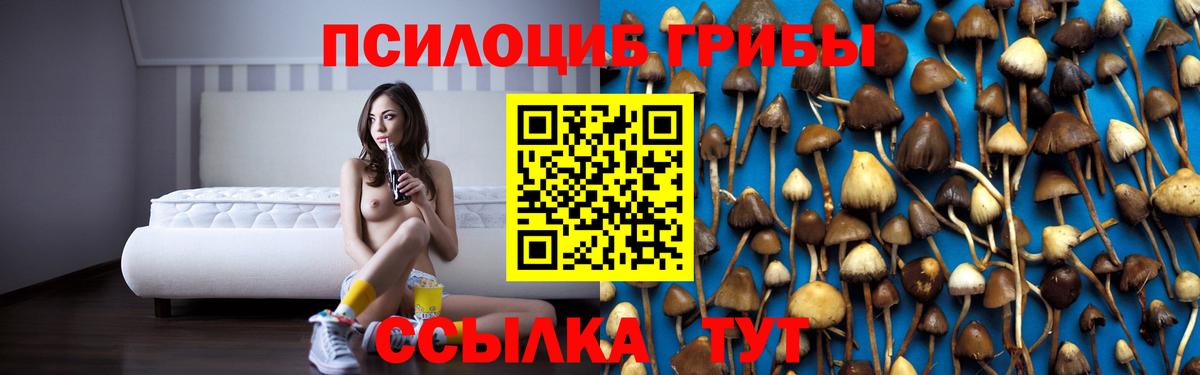 Галлюциногенные грибы Psilocybe  где купить наркоту  Коряжма  Вход с VPN 